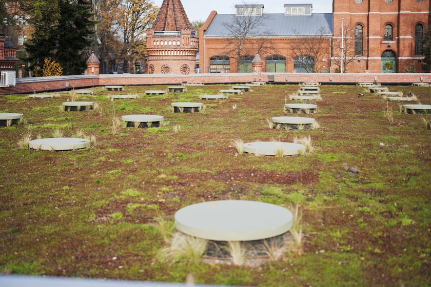 Prezentacja nowości Hyreopolis i MPWiK Wrocław, 13 listopada 2025