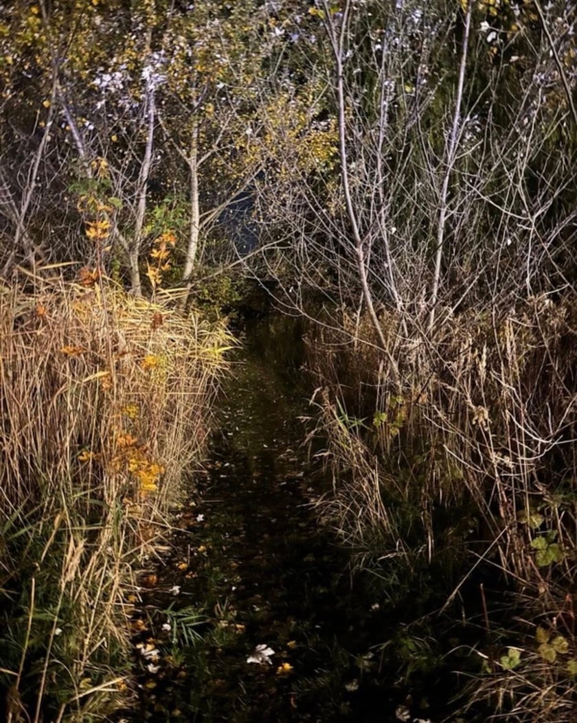 Suczka uratowała swojego pana – wzruszająca historia!