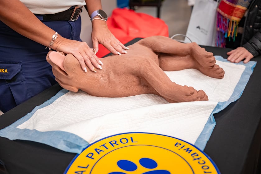 Na stoisku Straży Miejskiej Wrocławia, funkcjonariuszki szkoliły jak przeprowadzić resuscytację u psa