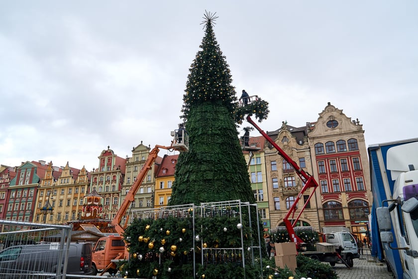 Choinka na Rynku w budowie 18 listopada 2025 roku