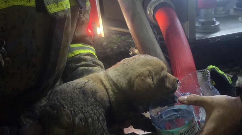 Akcja ratunkowa strażaków