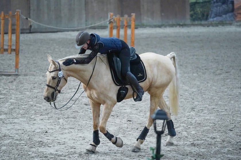 Na Partynicach rozgrywano Mistrzostwa Polski w Working Equitation.