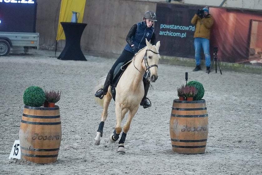 Na Partynicach rozgrywano Mistrzostwa Polski w Working Equitation.