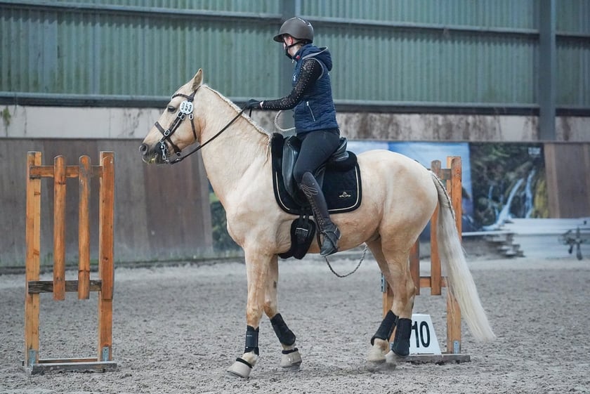 Na Partynicach rozgrywano Mistrzostwa Polski w Working Equitation.