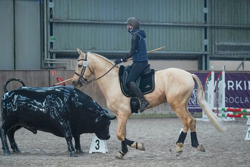 Na Partynicach rozgrywano Mistrzostwa Polski w Working Equitation.