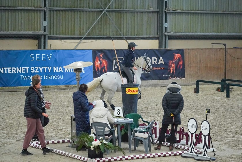Na Partynicach rozgrywano Mistrzostwa Polski w Working Equitation.