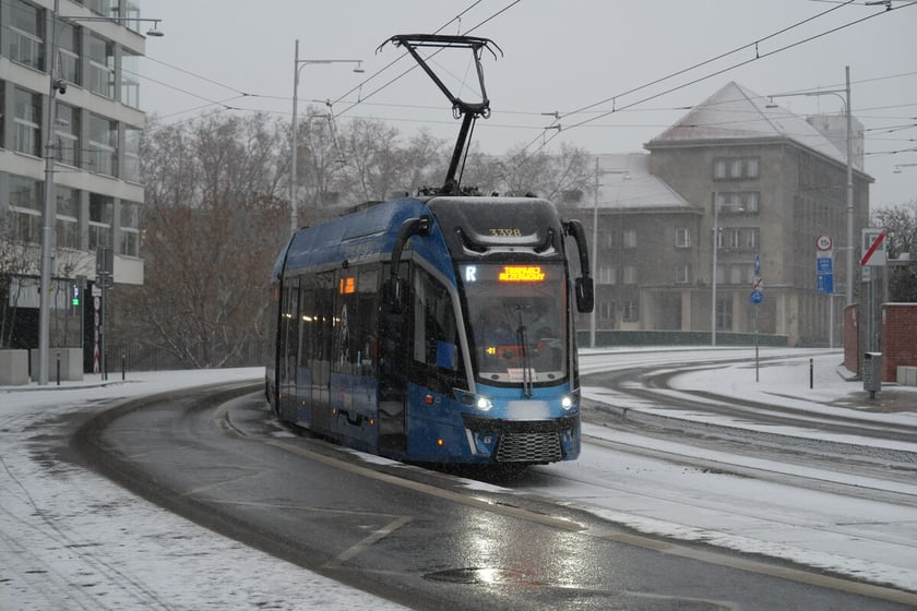 Pierwszy śnieg we Wrocławiu, 24.11.2025