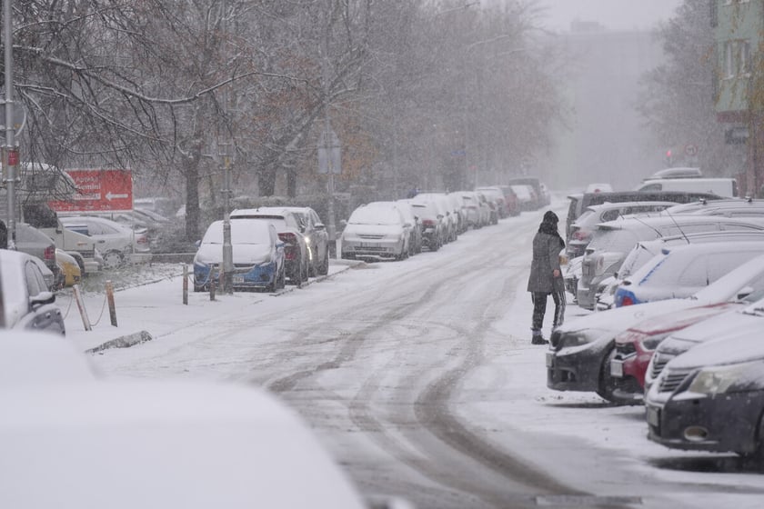 Pierwszy śnieg we Wrocławiu, 24.11.2025