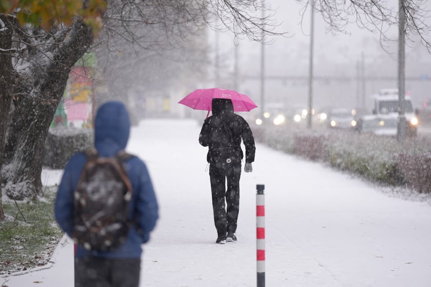 Pierwszy śnieg we Wrocławiu, 24.11.2025