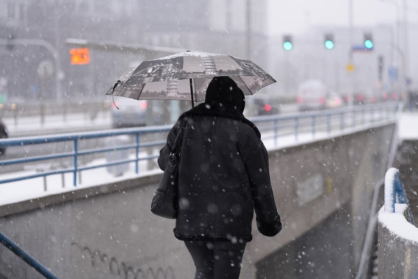 Pierwszy śnieg we Wrocławiu, 24.11.2025