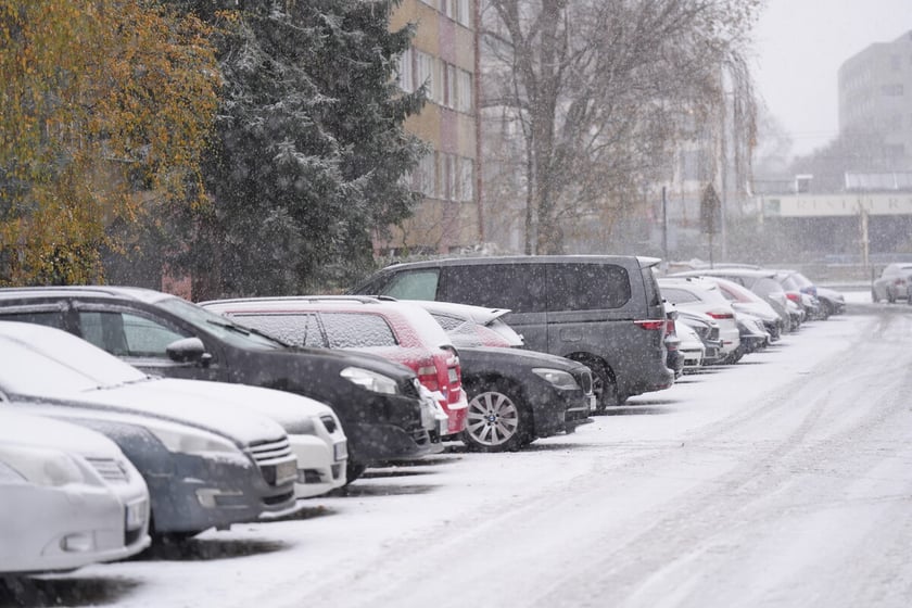 Pierwszy śnieg we Wrocławiu, 24.11.2025