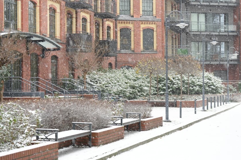 Pierwszy śnieg we Wrocławiu, 24.11.2025