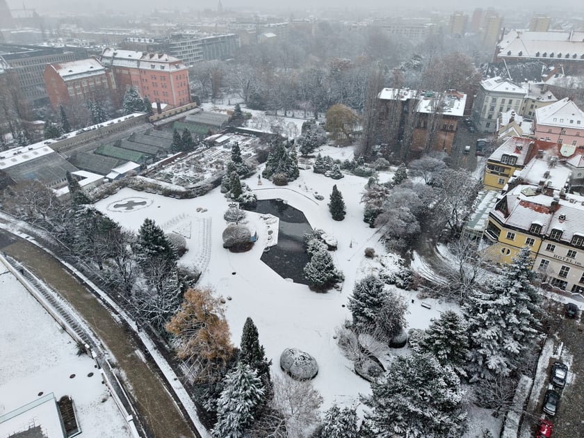 Widok na Ostrów Tumski we Wrocławiu