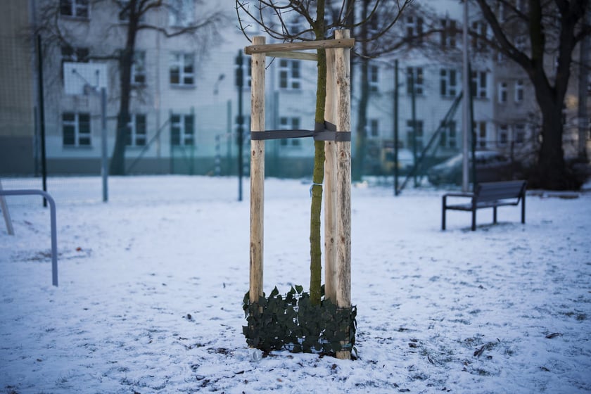 Podw&oacute;rko pomiędzy ulicami&nbsp;Komuny Paryskiej, Krasińskiego, Worcella i Pułaskiego częściowo już po remoncie