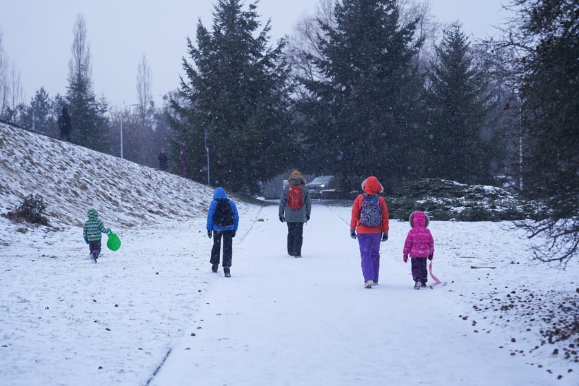 Zimowe aktywności na G&oacute;rce Oporowskiej