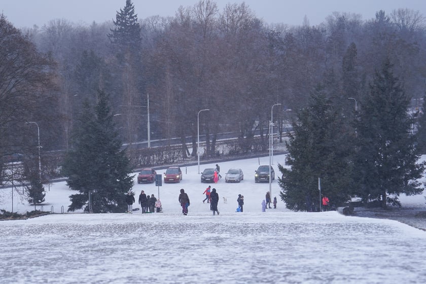 Zimowe aktywności na G&oacute;rce Oporowskiej