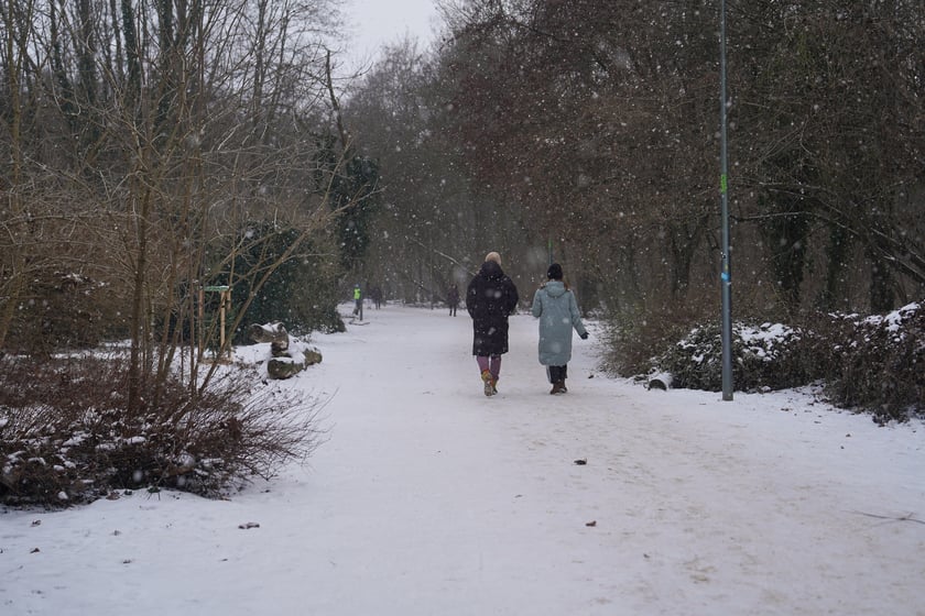 Zimowe aktywności na G&oacute;rce Oporowskiej