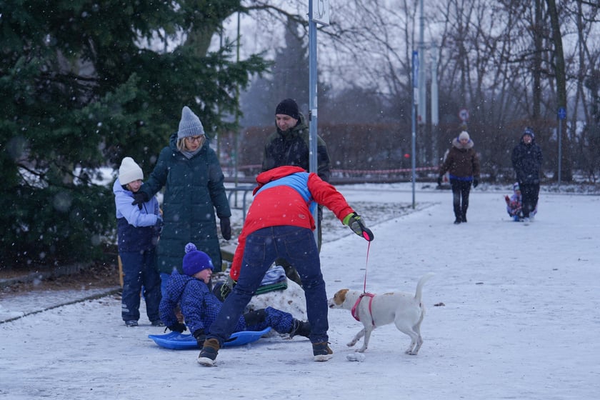 Zimowe aktywności na G&oacute;rce Oporowskiej