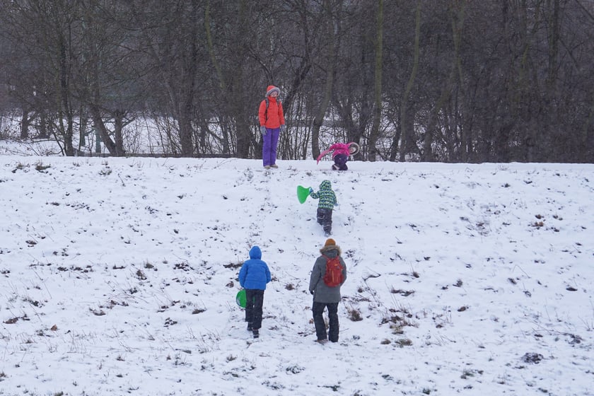 Zimowe aktywności na G&oacute;rce Oporowskiej
