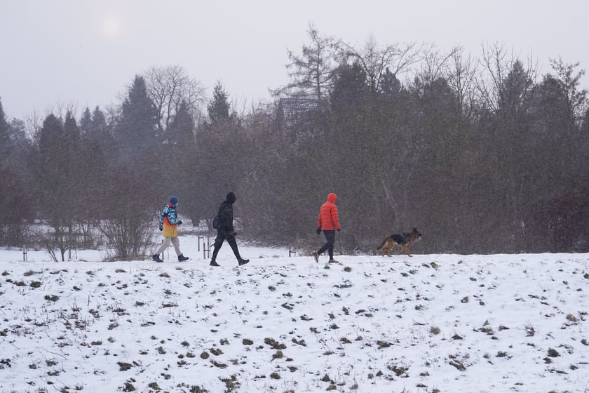 Zimowe aktywności na G&oacute;rce Oporowskiej