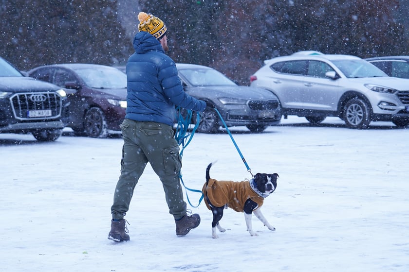 Zimowe aktywności na G&oacute;rce Oporowskiej