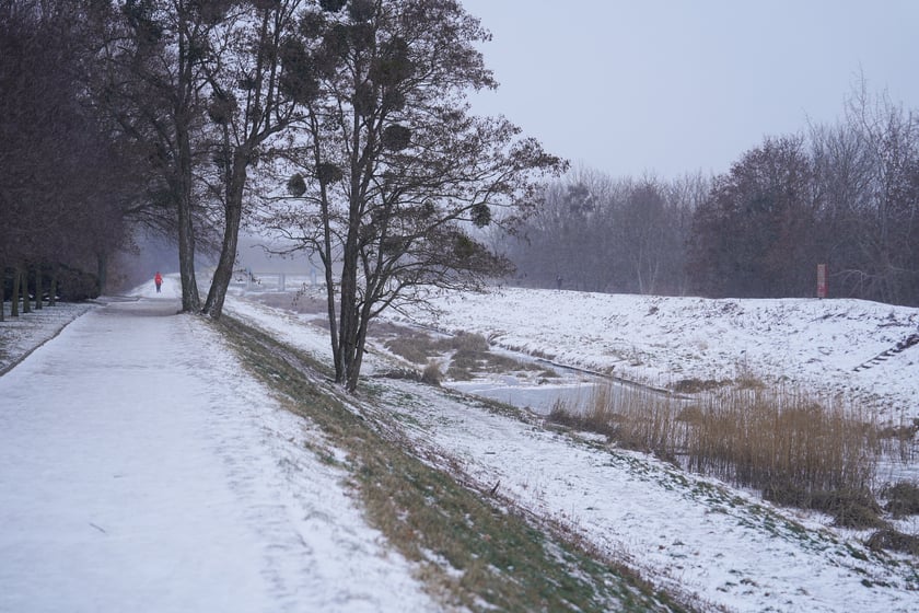 Zimowe aktywności na G&oacute;rce Oporowskiej