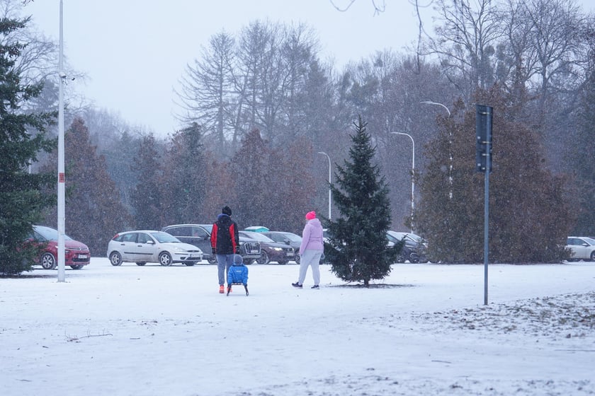 Zimowe aktywności na G&oacute;rce Oporowskiej