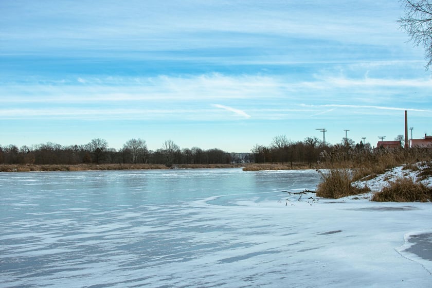 Na Odrze we Wrocławiu pojawił się lód. To zjawisko niespotkane od wielu lat