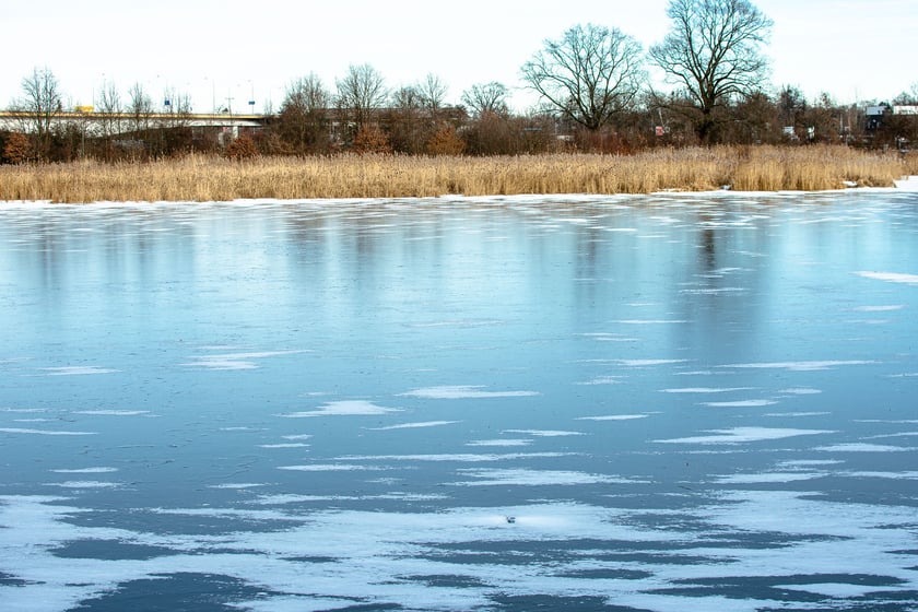 Na Odrze we Wrocławiu pojawił się lód. To zjawisko niespotkane od wielu lat
