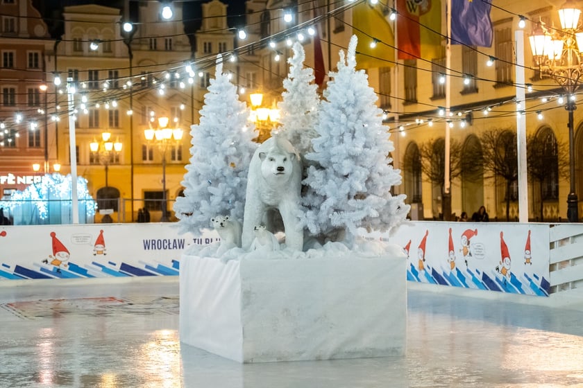 Lodowisko w Rynku we Wrocławiu nocą