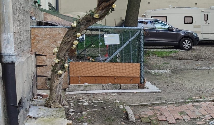 Zbudowany przez mieszkańców wybieg dla kotów. Po metamorfozie na podwórku także będzie miejsce dla tych zwierząt, ale zmieni lokalizację ii będzie wyglądał inaczej