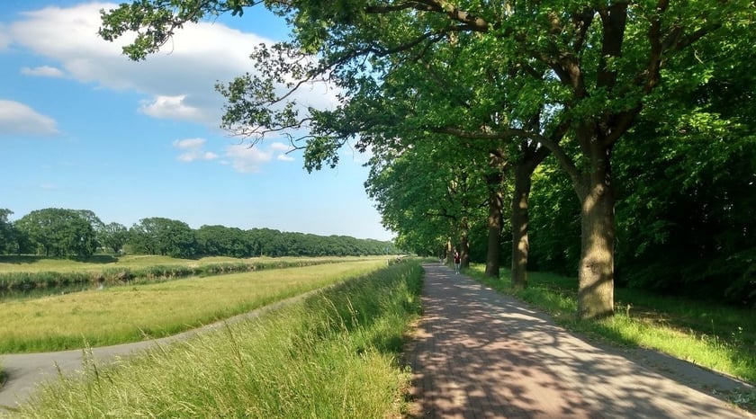 Jazda rowerem po wałach nad Odrą to czysta przyjemność. Na cyklistę czekają świetnie przygotowane trasy i piękne widoki.