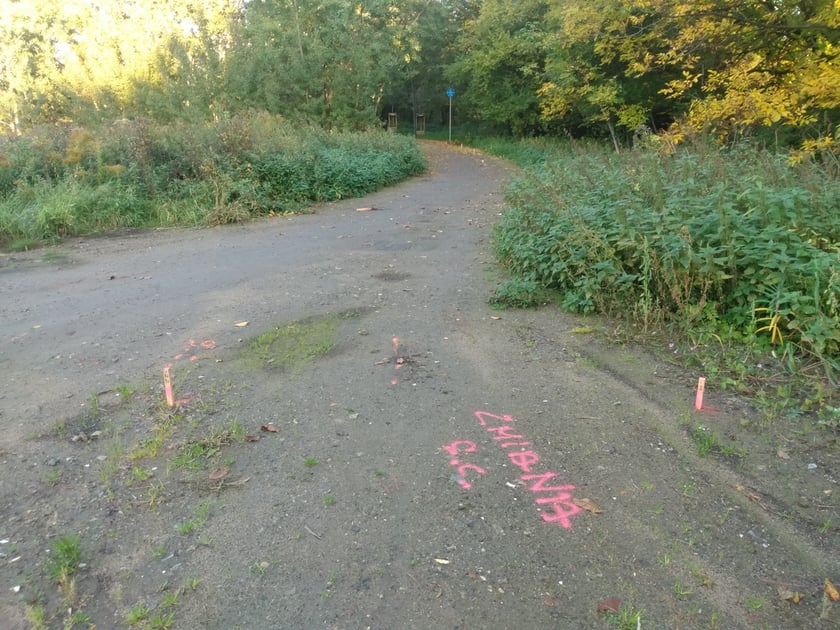 Nowy odcinek Promenady Krzyckiej powstanie w okolicy cmentarza Ducha Świętego na Tarnogaju.
