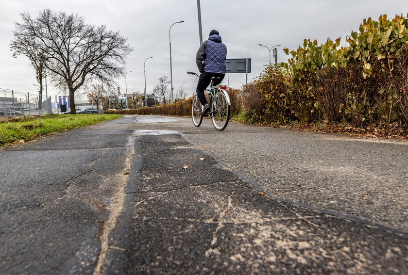 Na zdjęciu przeznaczona do remontu droga rowerowa wzdłuż ul. Krzywoustego