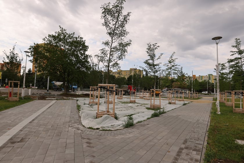 Pętla TAT na Nowym Dworze - lipiec 2023 r.