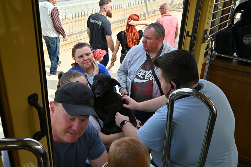 Komunikacyjny piknik na nowej pętli Wrocław Nowy Dwór (P+R). Impreza zorganizowana została z okazji uruchomienia tramwajów na Nowy Dwór, co nastąpi jutro, w niedzielę 3 września.