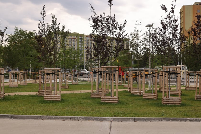 Budowa TAT na Nowy Dwór