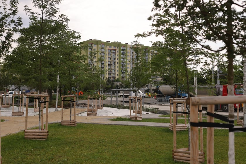 Budowa TAT na Nowy Dwór