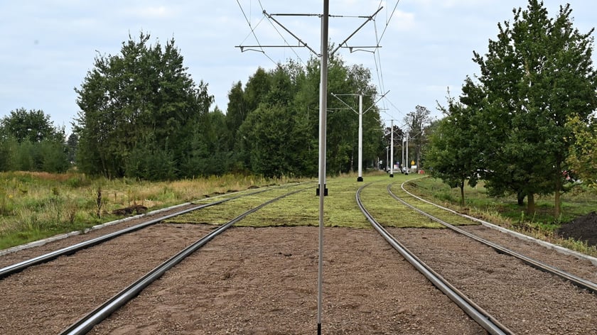 Torowisko wzdłuż ul. Legnickiej z każdym dniem staje się bardziej zielone. Kładzione są maty rozchodnikowe.
