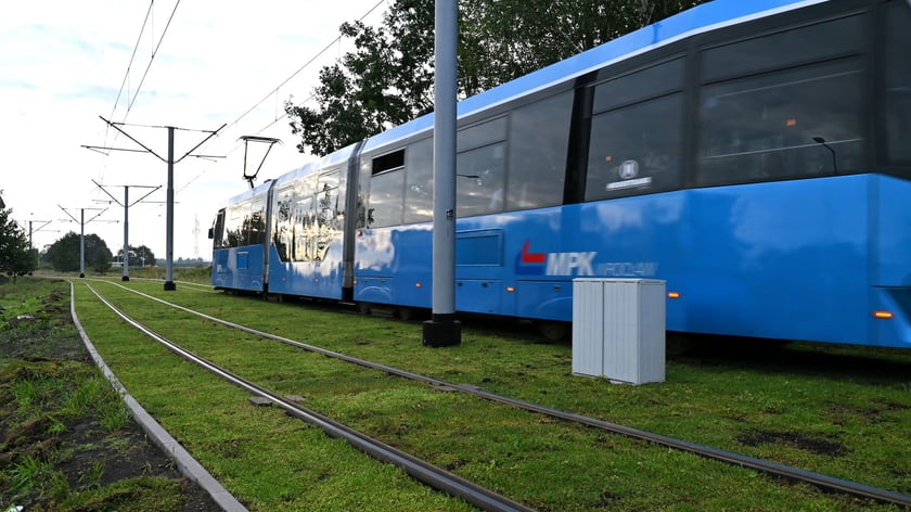 Torowisko wzdłuż ul. Legnickiej z każdym dniem staje się bardziej zielone. Kładzione są maty rozchodnikowe.