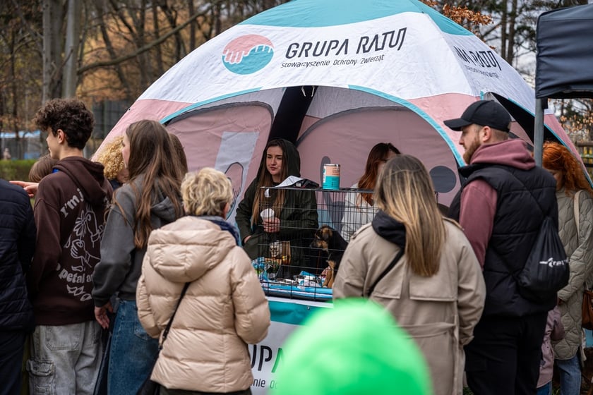 Piknik na Swojczycach - sobota 23 marca