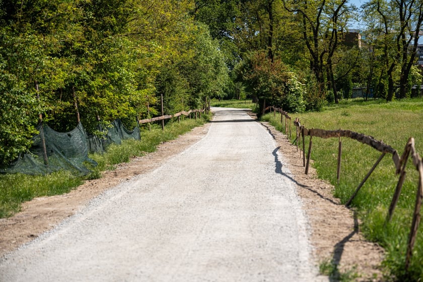 Nowa trasa pieszo-rowerowa wzdłuż Oławy na odcinku od Niskich Łąk do kładki Siedleckiej.
