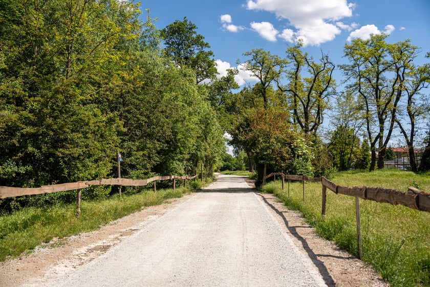 Nowa trasa pieszo-rowerowa wzdłuż Oławy na odcinku od Niskich Łąk do kładki Siedleckiej.