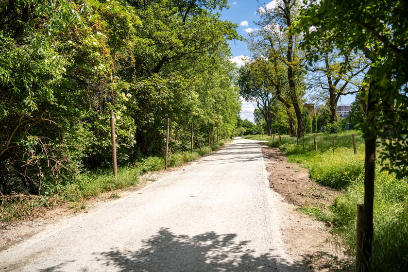Nowa trasa pieszo-rowerowa wzdłuż Oławy na odcinku od Niskich Łąk do kładki Siedleckiej.