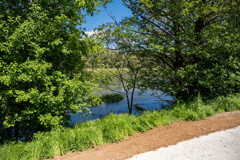Nowa trasa pieszo-rowerowa wzdłuż Oławy na odcinku od Niskich Łąk do kładki Siedleckiej.