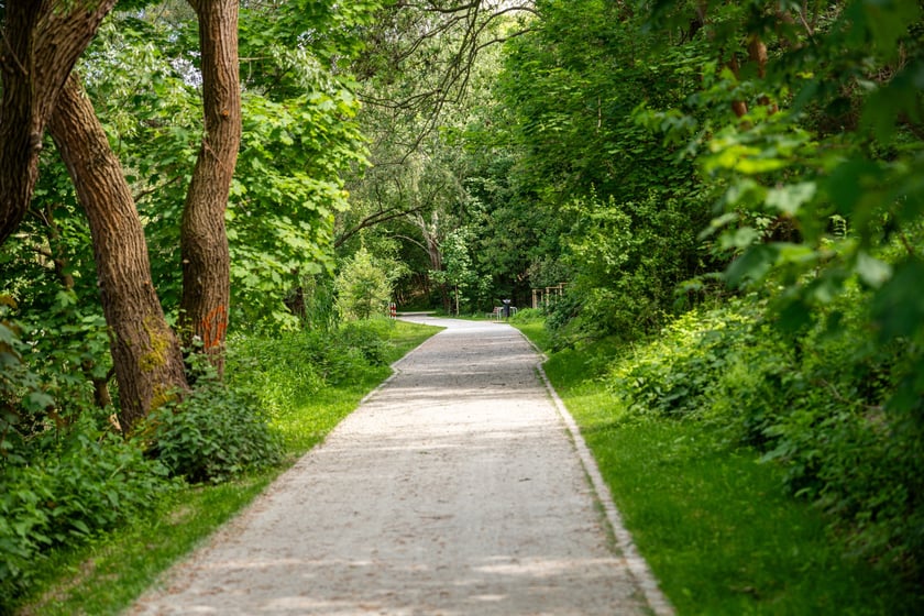 Nowa trasa pieszo-rowerowa wzdłuż Oławy na odcinku od Niskich Łąk do kładki Siedleckiej.