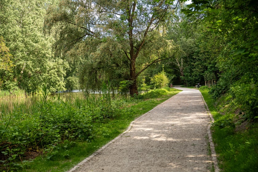 Nowa trasa pieszo-rowerowa wzdłuż Oławy na odcinku od Niskich Łąk do kładki Siedleckiej.