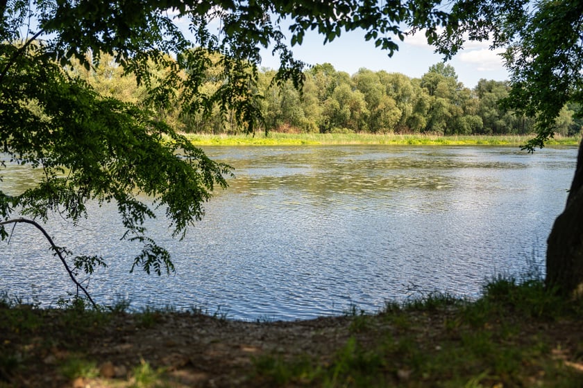 Nowa trasa pieszo-rowerowa wzdłuż Oławy na odcinku od Niskich Łąk do kładki Siedleckiej.