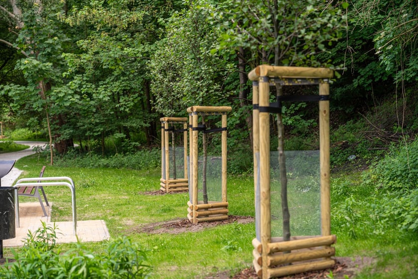 Nowa trasa pieszo-rowerowa wzdłuż Oławy na odcinku od Niskich Łąk do kładki Siedleckiej.