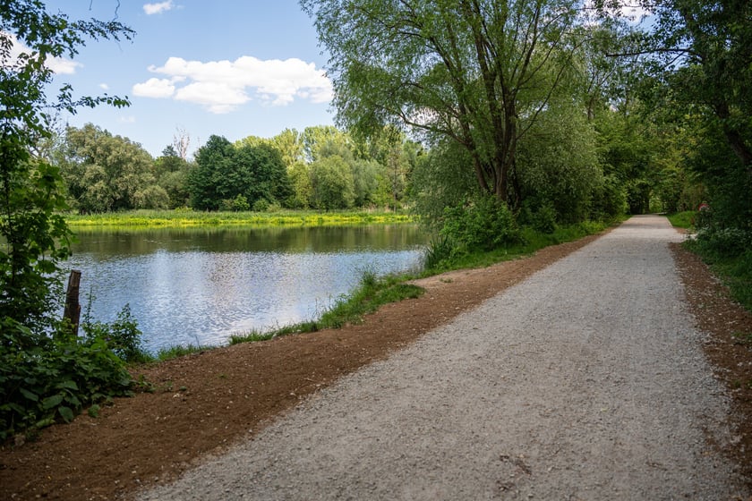 Nowa trasa pieszo-rowerowa wzdłuż Oławy na odcinku od Niskich Łąk do kładki Siedleckiej.